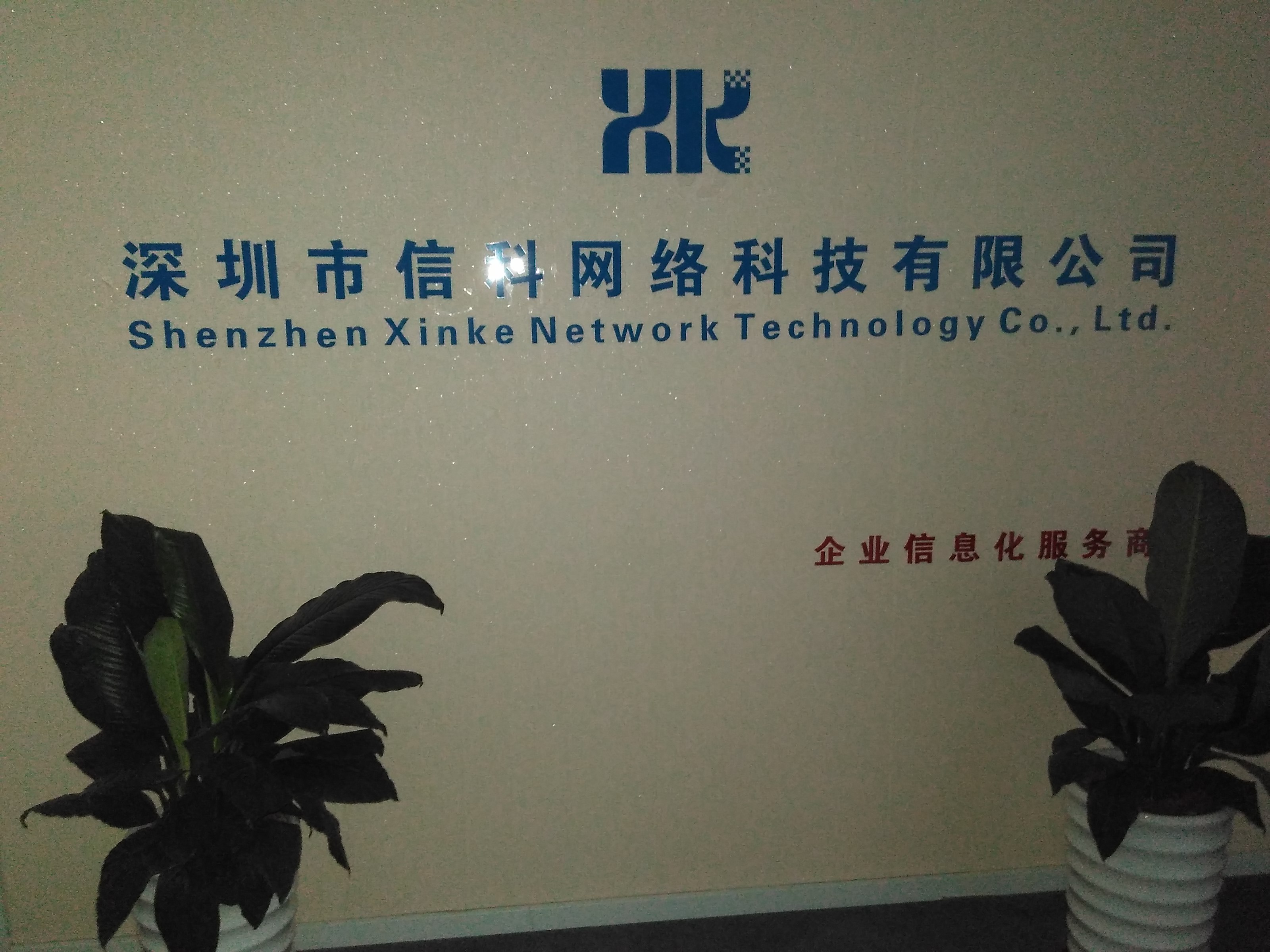 信科网络团队